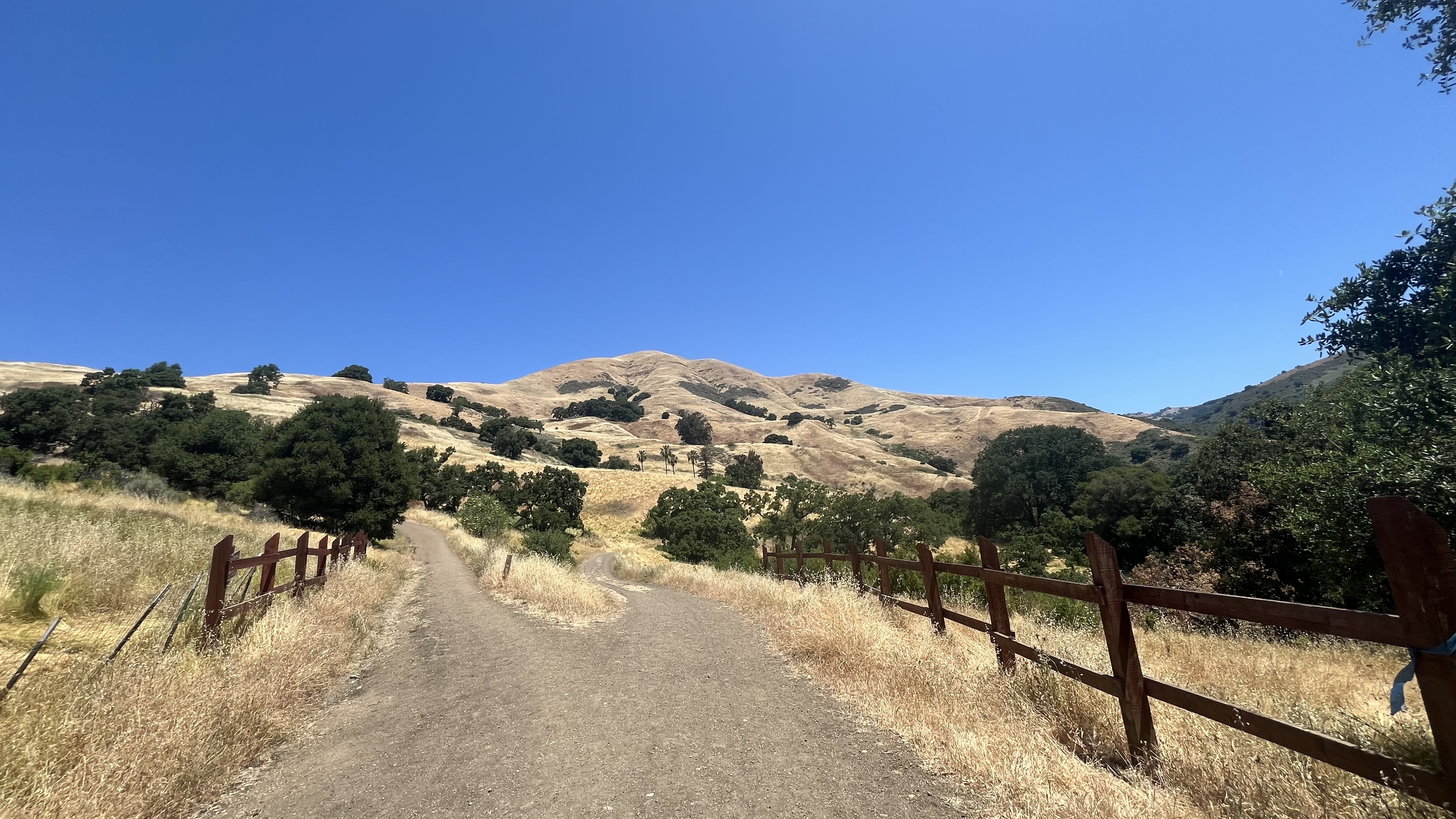 Alum Rock 1