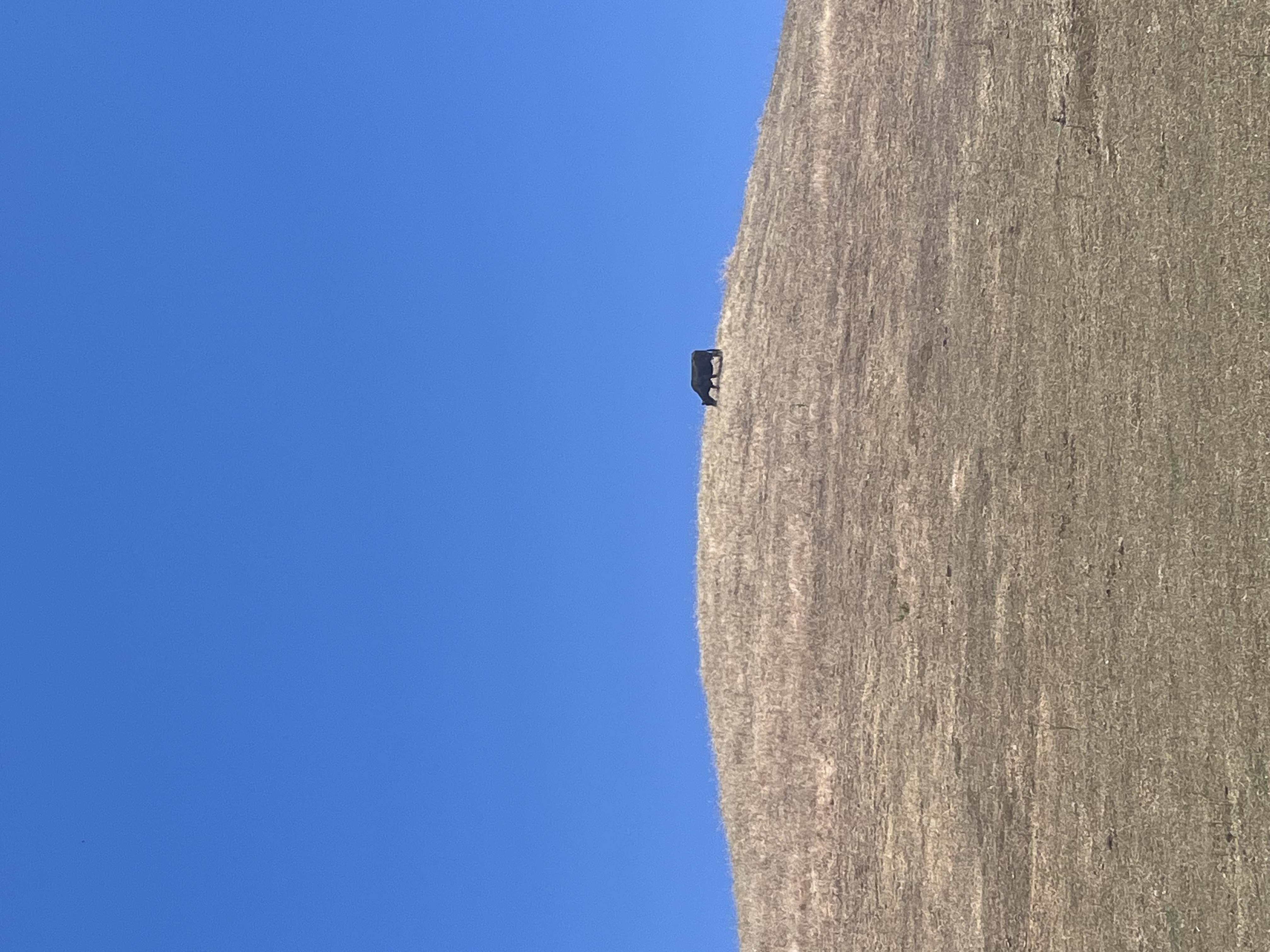 Alum Rock 2