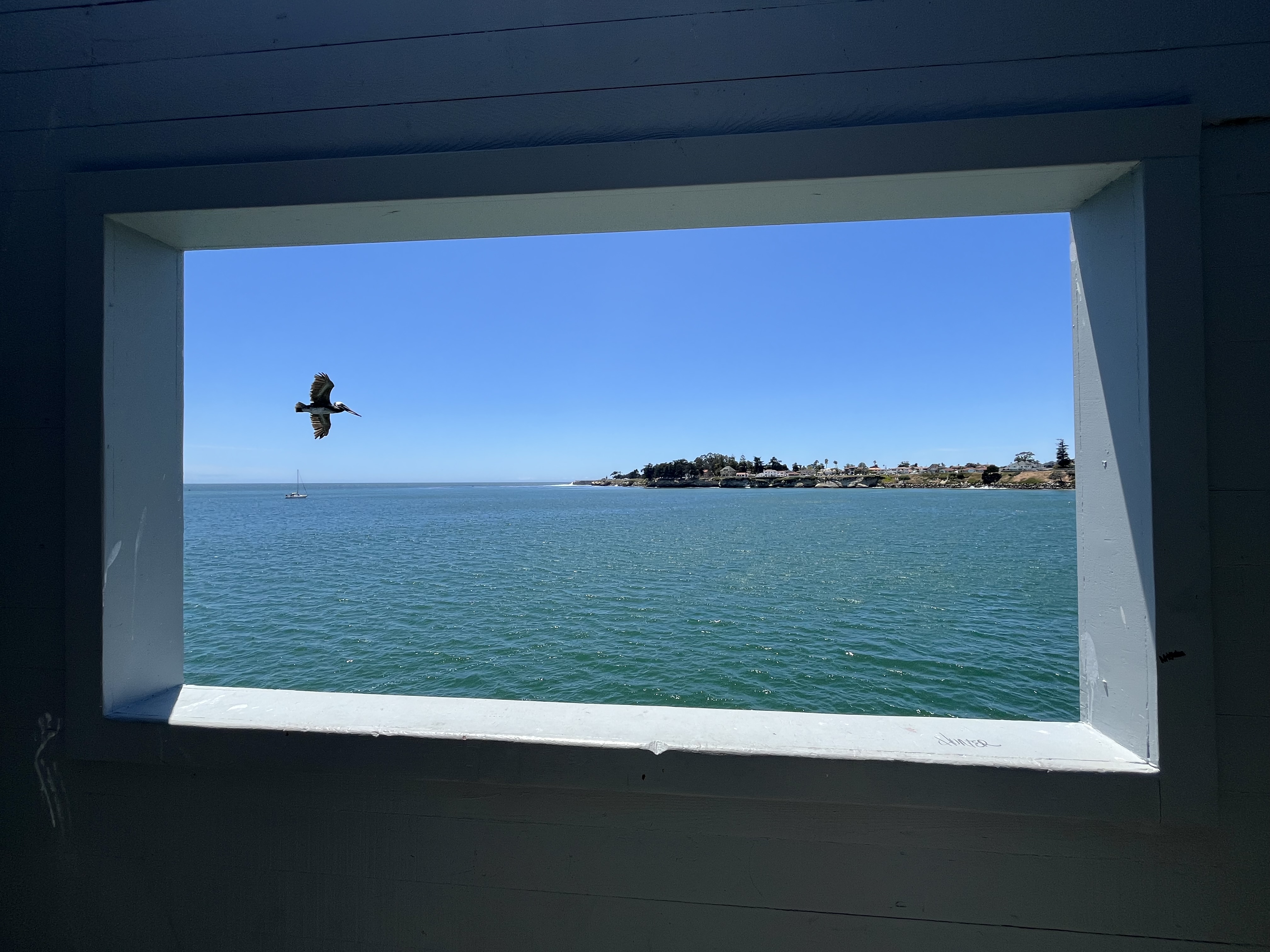 Santa Cruz 2