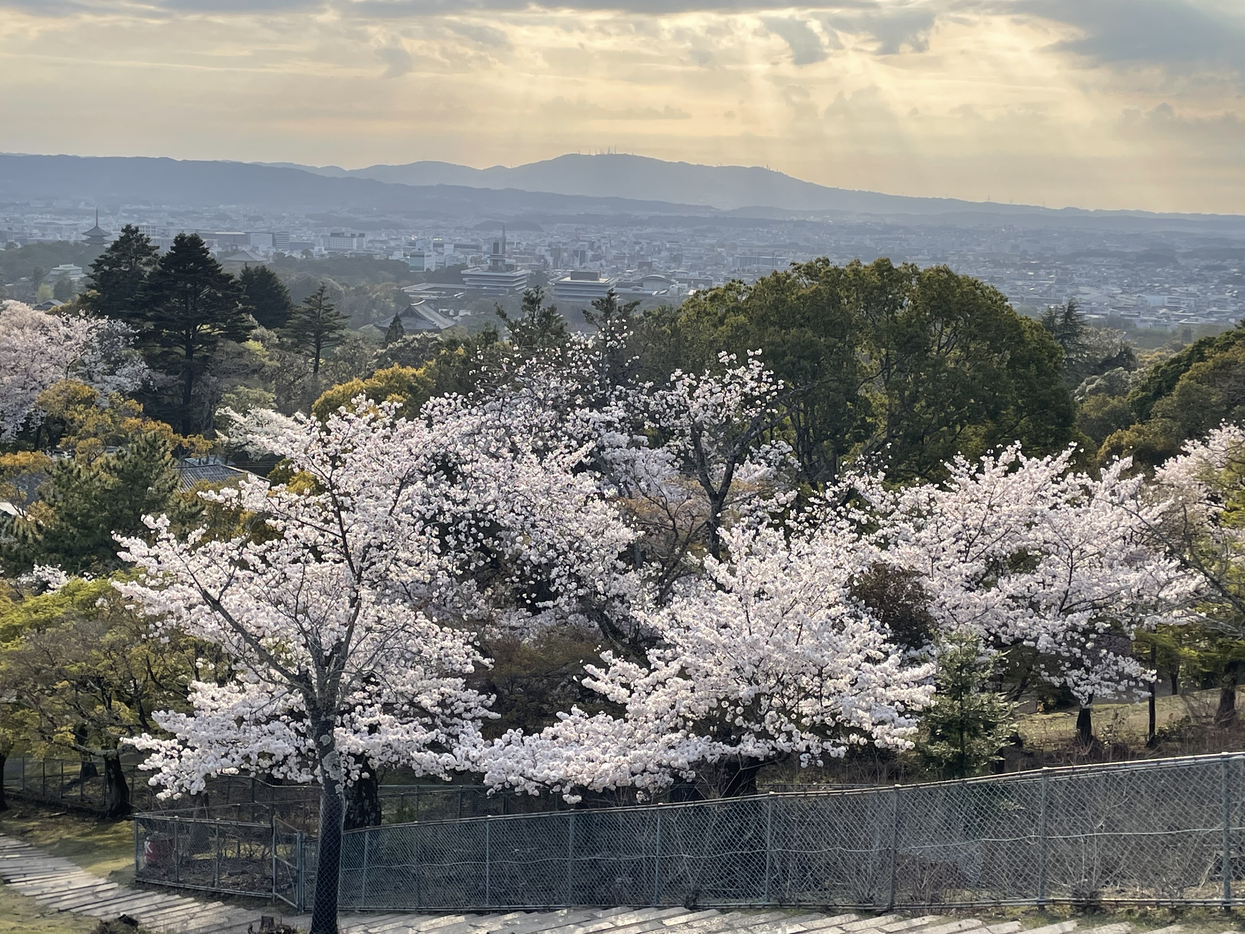 Zoshicho, Nara