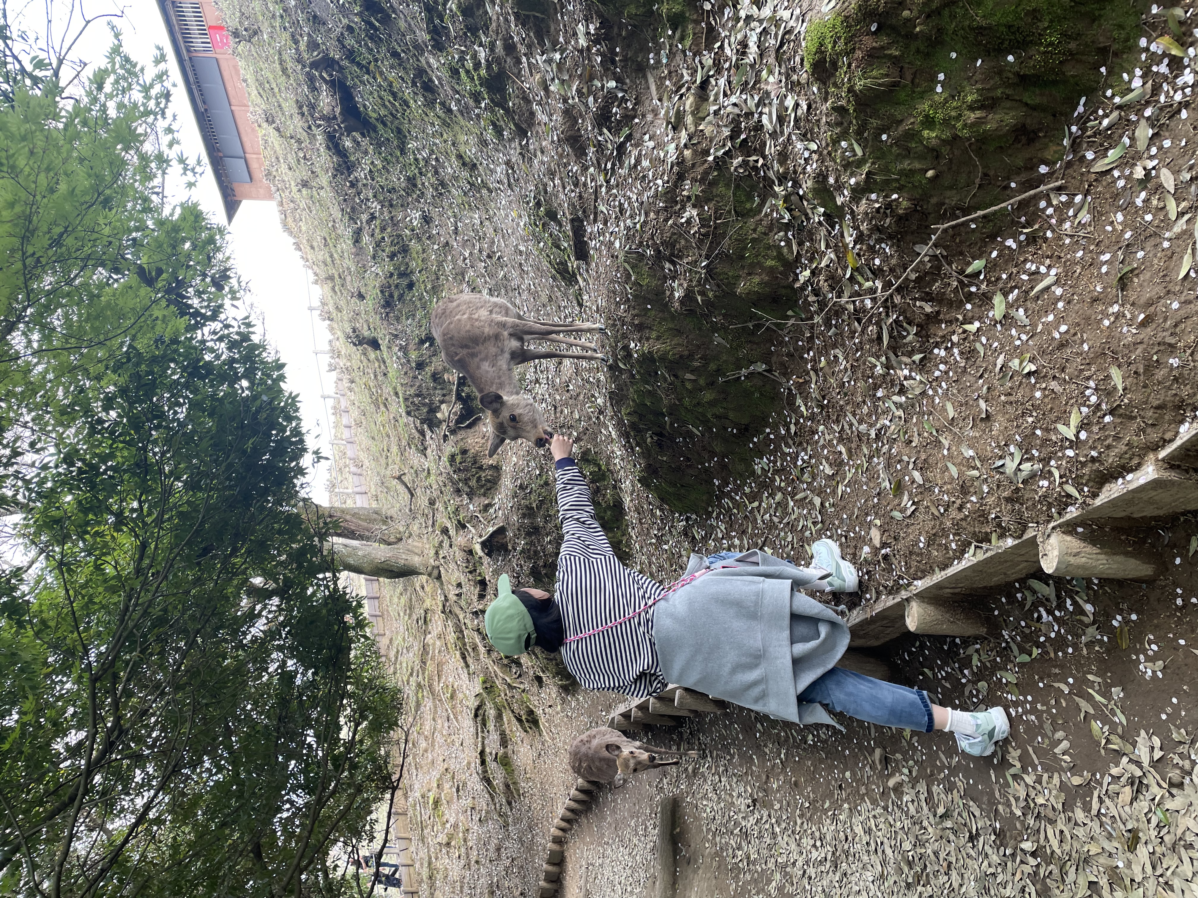 Zoshicho, Nara