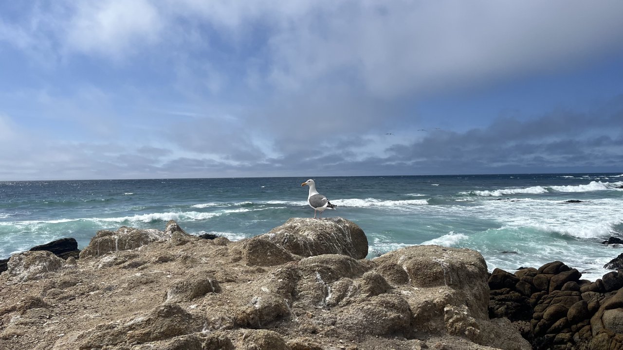 Pebble Beach