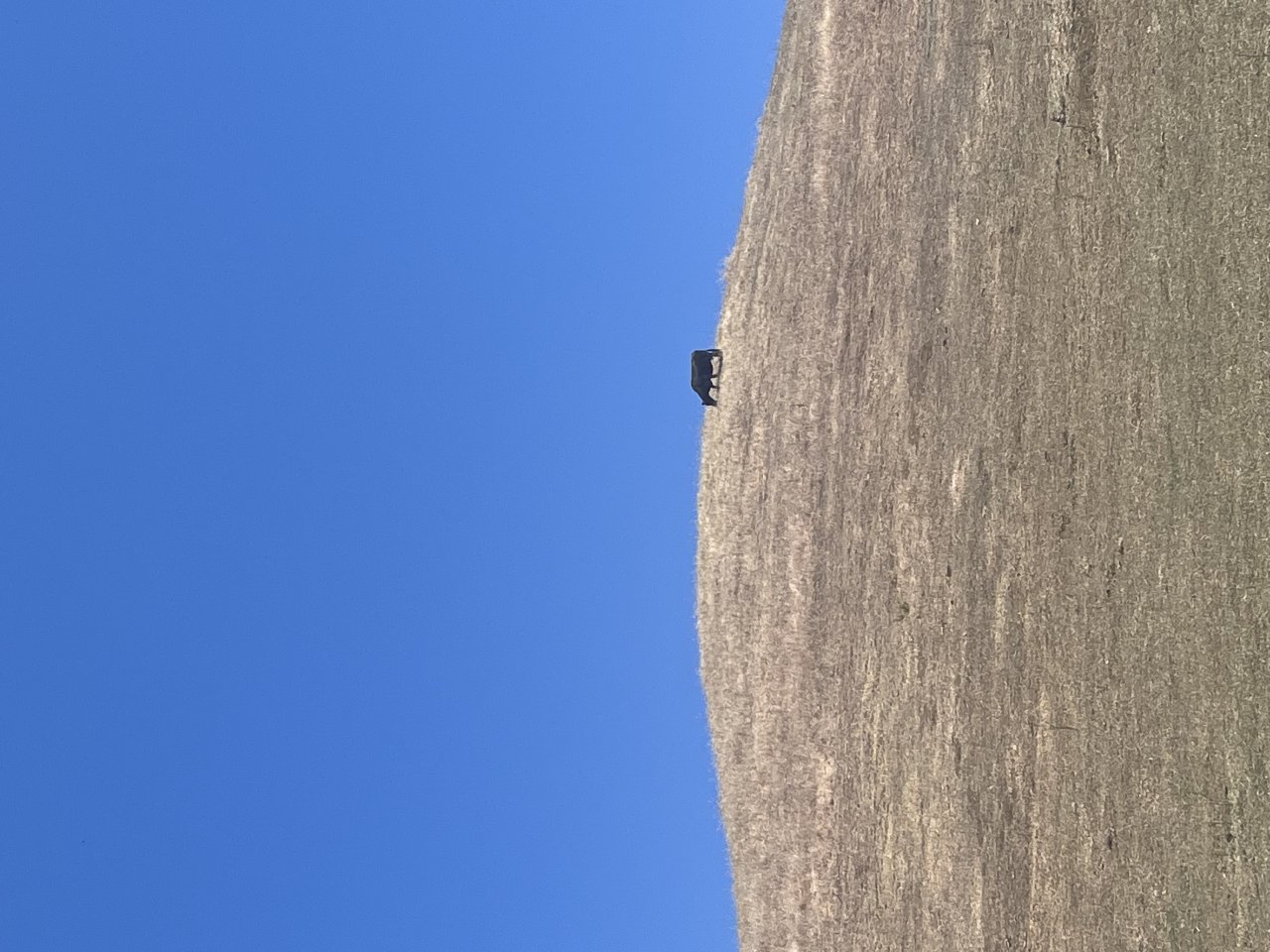 Alum Rock 2