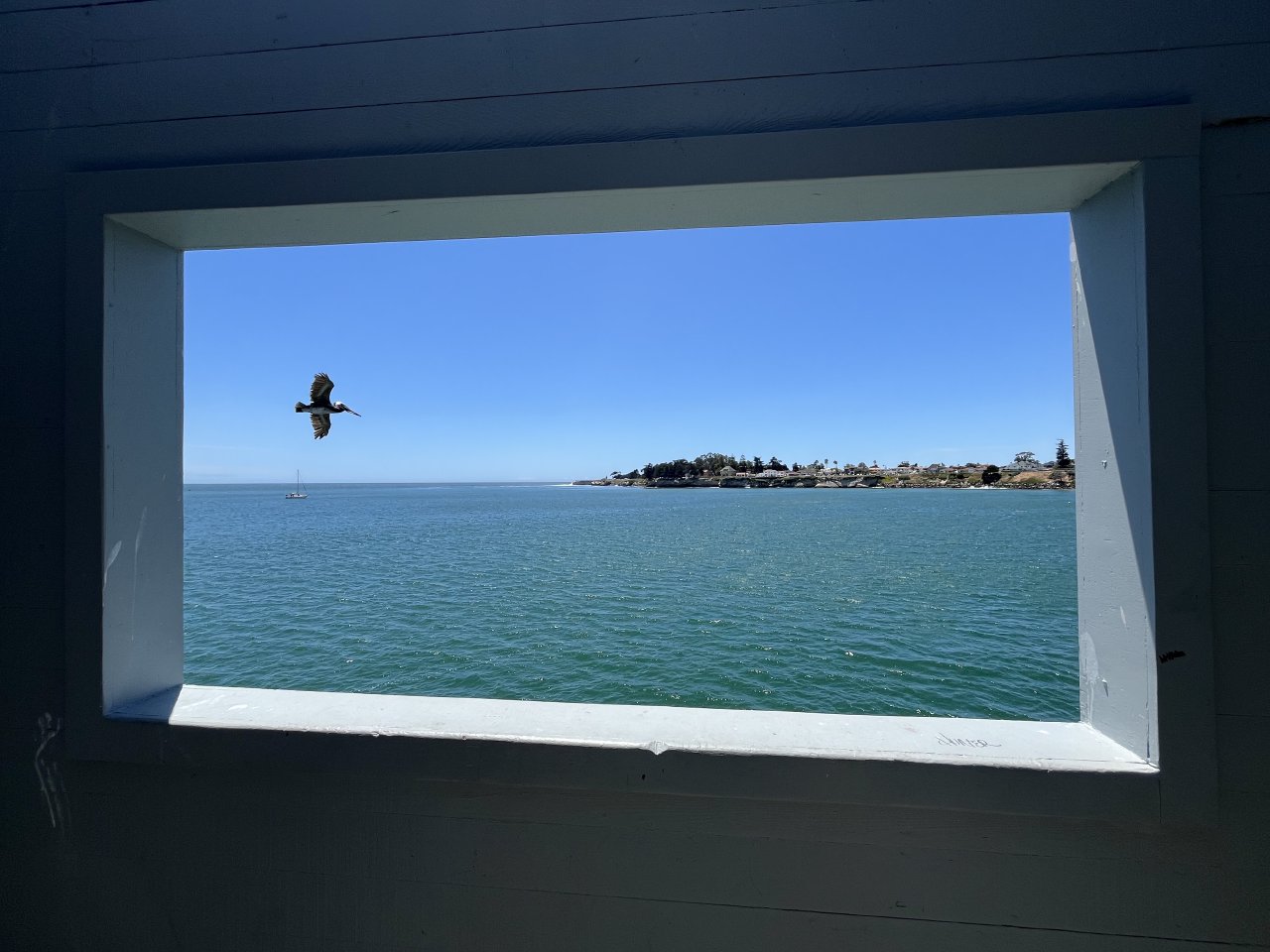 Santa Cruz 2