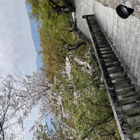 Japan Trip