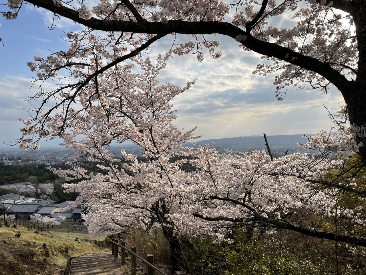 Zoshicho, Nara