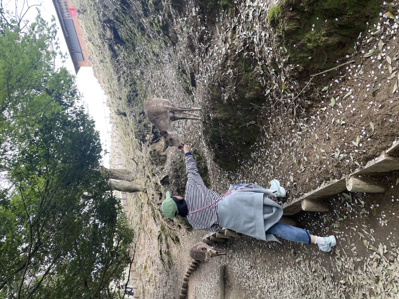 Zoshicho, Nara