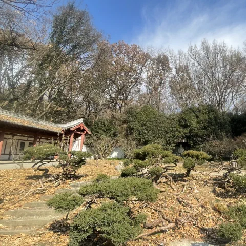 Nanjing Trip